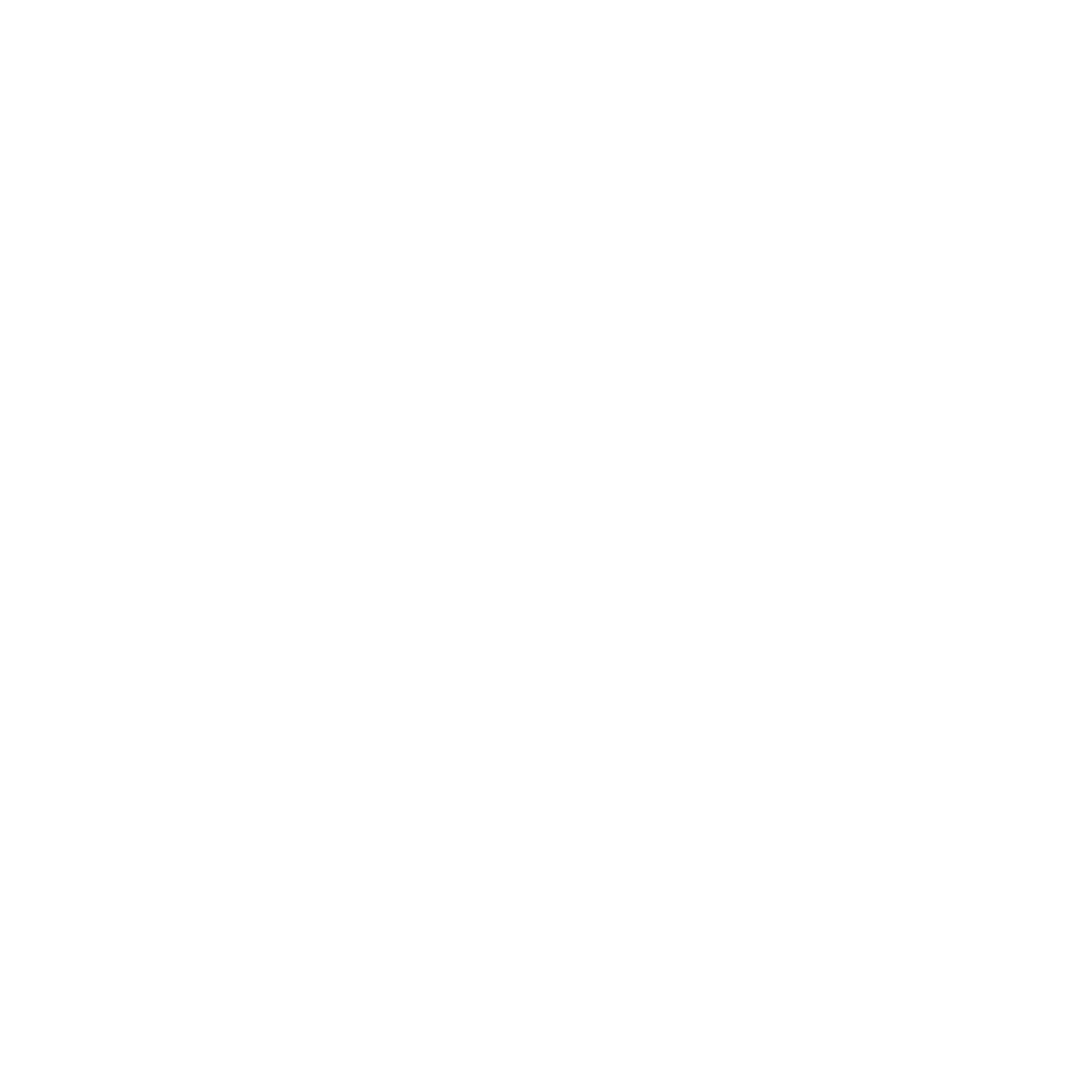logo blanco ibiza